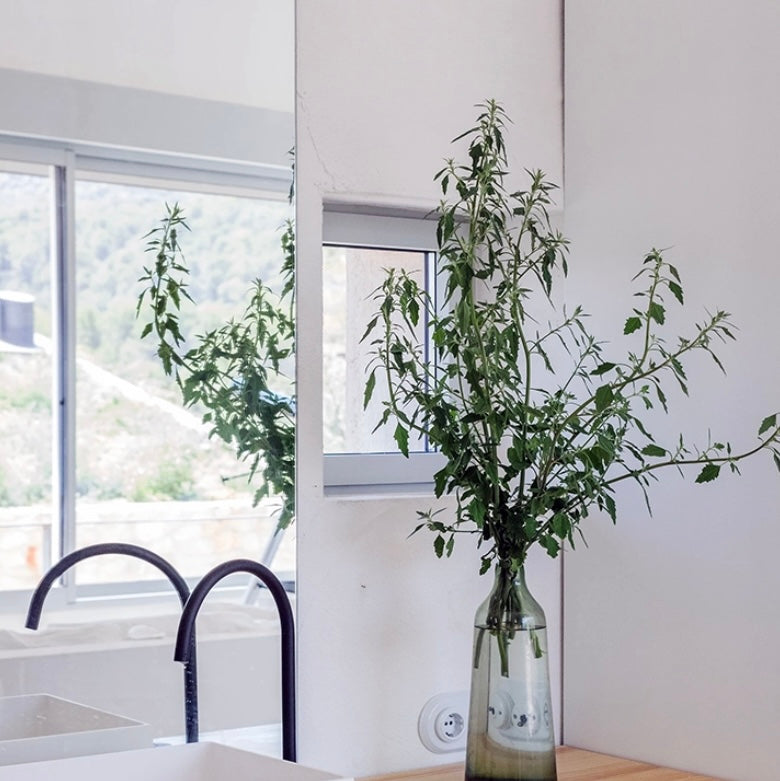 Habitación Belvedere