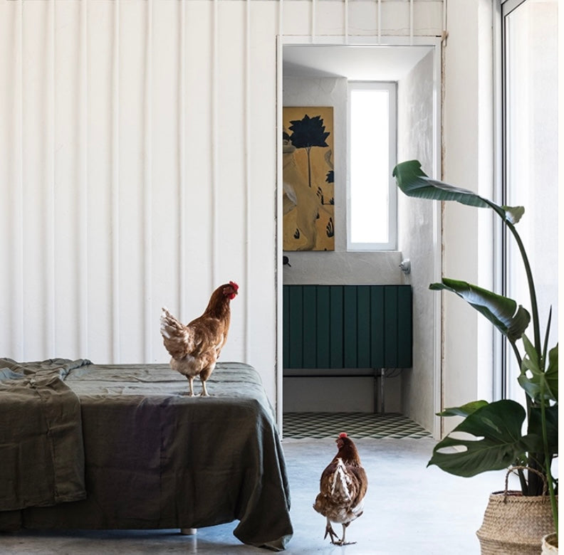 Habitación Paramo